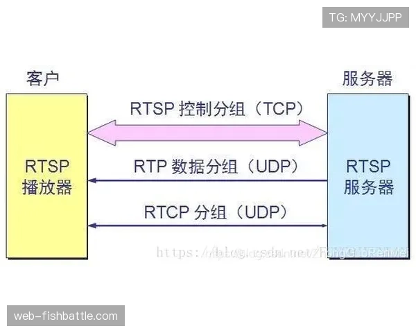 体育经济学家评估新媒体合约：760亿美元赌局开局表现超预期